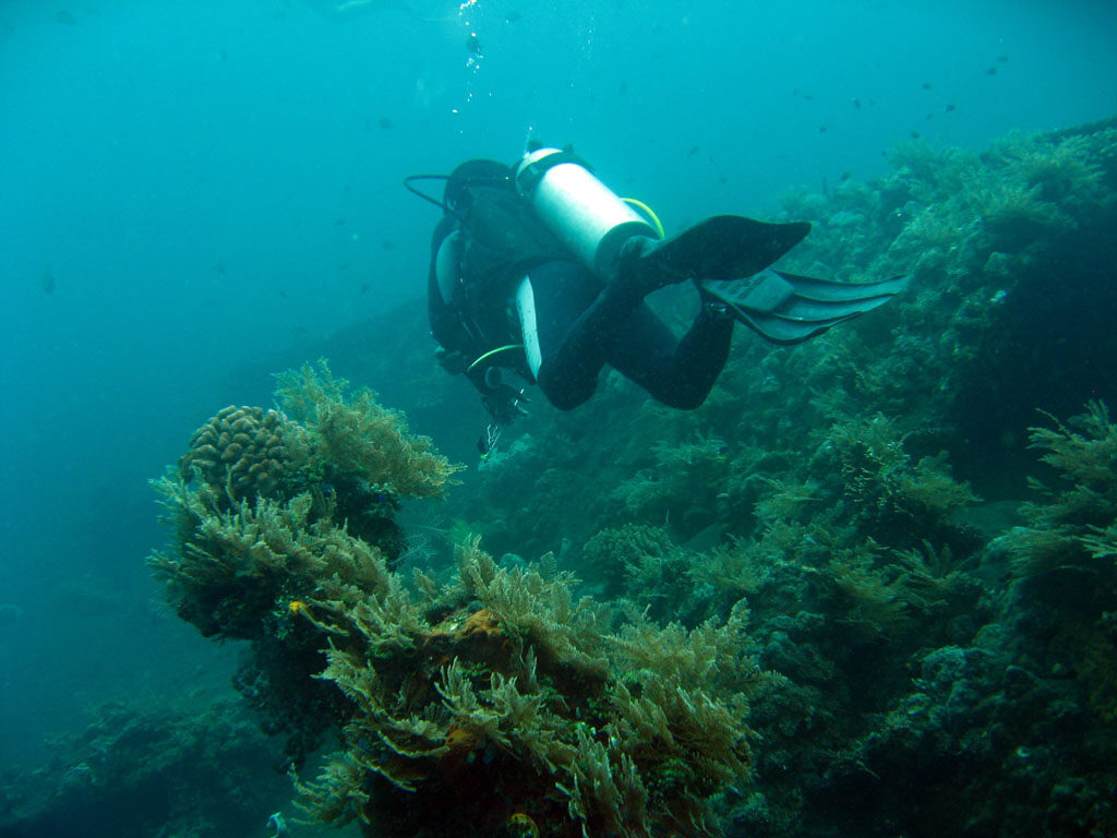 Divers over the USAT Liberty wreck at Tulamben