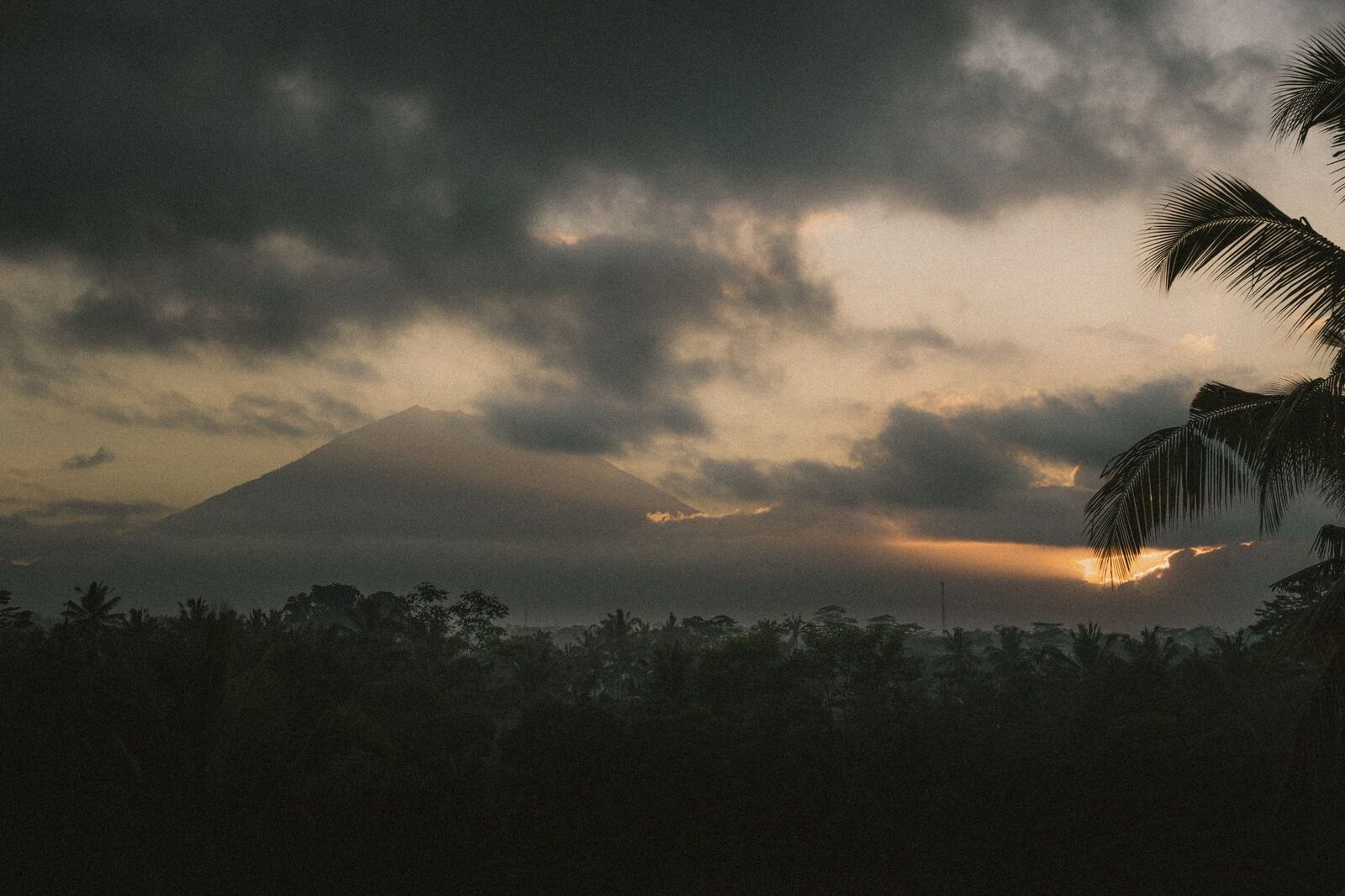 Dawn over the coast, Agung a dark silhouette through the cloud and palms.