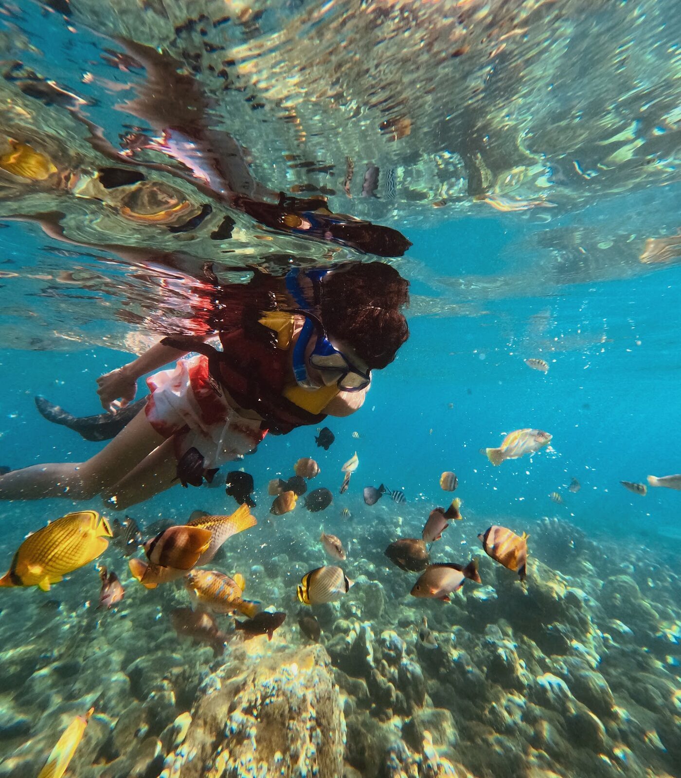 Snorkelling among clouds of fish just off the beach.