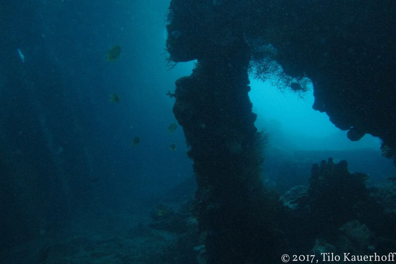 Divers finning past the wreck's ribs, the structure silhouetted against brighter water.