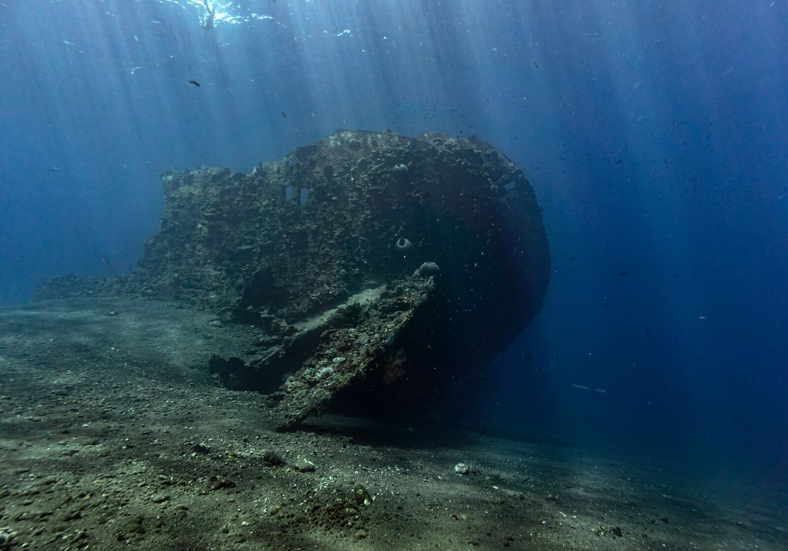 The coral-crusted hull of the USAT Liberty on the sand at Tulamben, light raking down through the blue.