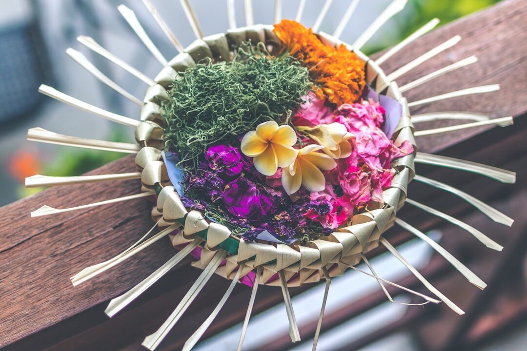 One canang seen from above: petals arranged by colour, a stick of incense, a frangipani on top. A day's offering, and by evening it's gone.