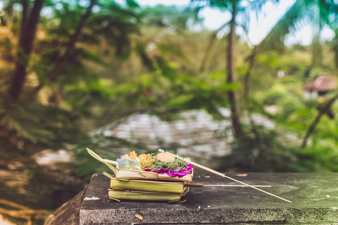 A single canang balanced on a wall. Once you notice them you'll see them everywhere — on shrines, on doorsteps, on dashboards.