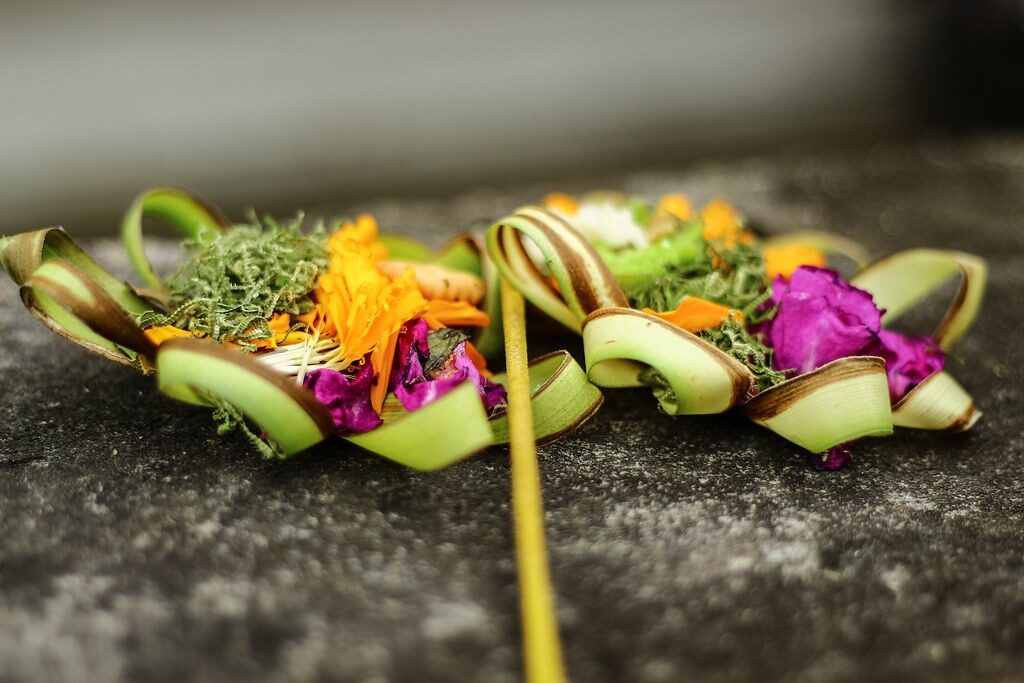 Canang sari — the little palm-leaf trays of flowers, rice and a smoking stick of incense, laid down fresh that morning as a small prayer of thanks.
