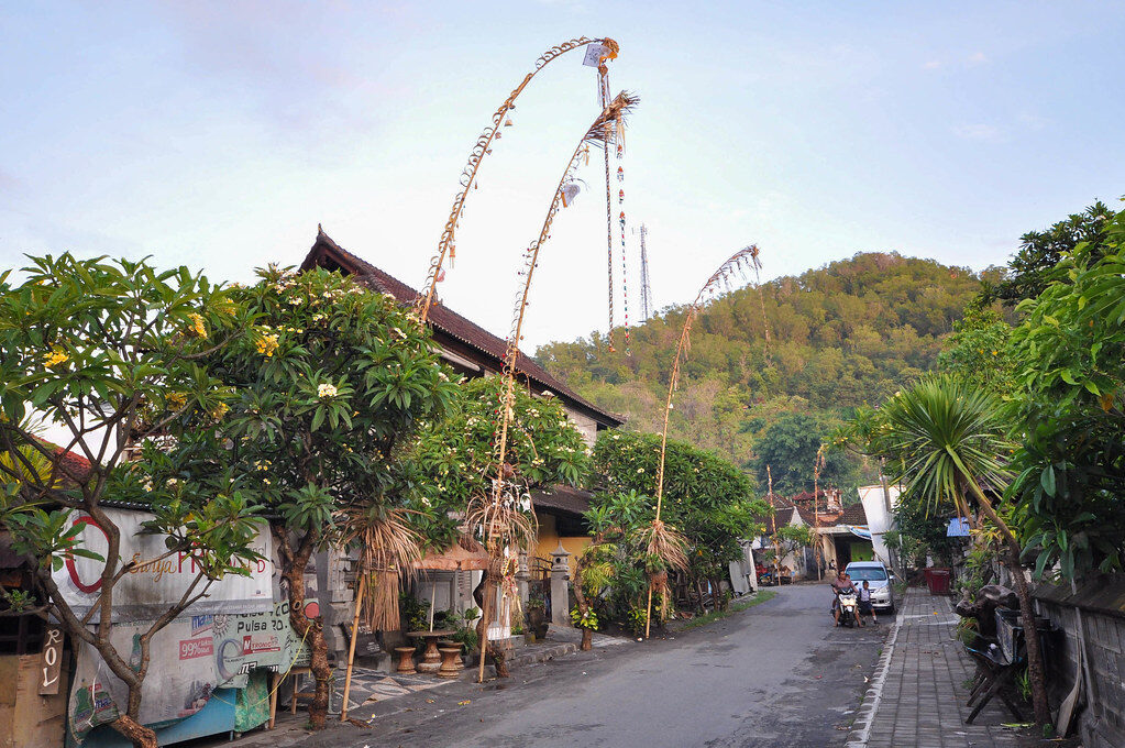 Penjor arcing over a village road with the hills behind — the poles go up all along the route for the celebration.