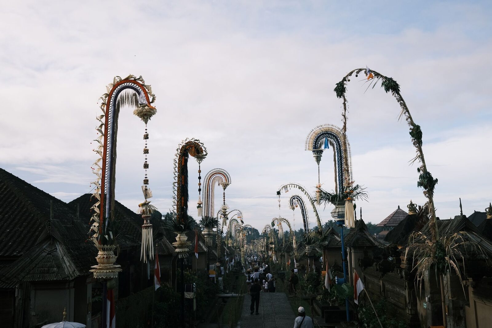 A row of penjor arching against the sky for Galungan — the tall bamboo poles hung with coconut leaf, fruit and rice.
