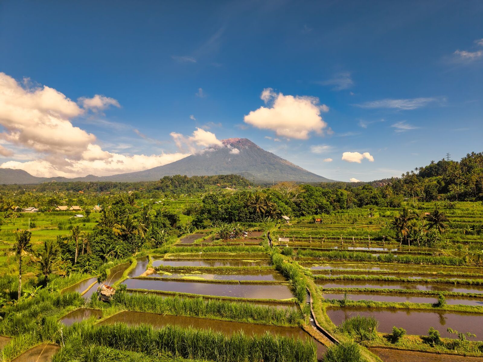 Sidemen in the quiet east — rice terraces climbing toward Mount Agung, the slower, greener Bali most people miss. This is the leg that surprises the ten-day travellers who add it.