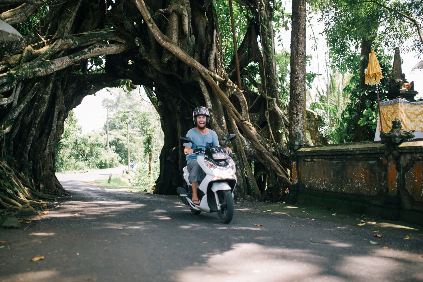 A scooter and an open lane through the trees — the difference between IDR 60,000–90,000 a day and many times that on a private driver. Ride only if you're licensed and insured for it.