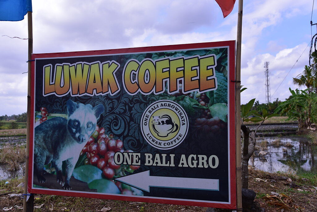 A roadside 'Luwak Coffee' sign in Bali — the tourist trade the caged civets feed.