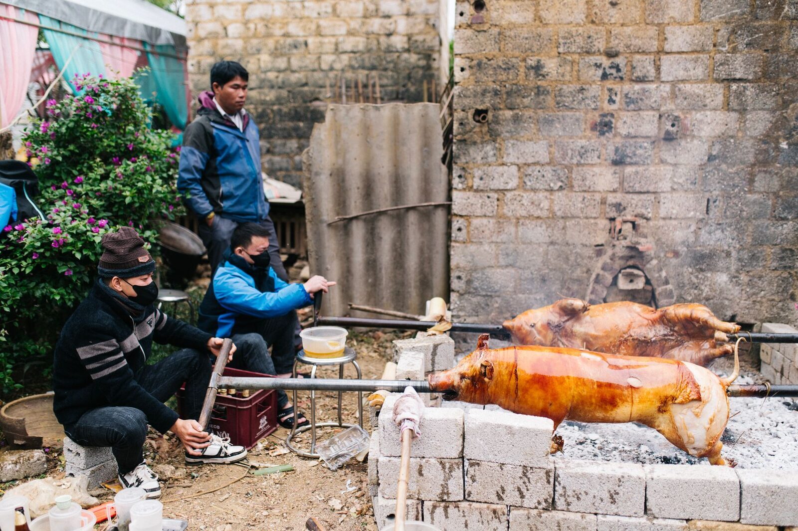 A whole pig turned slowly on a spit over coals — babi guling in the making.