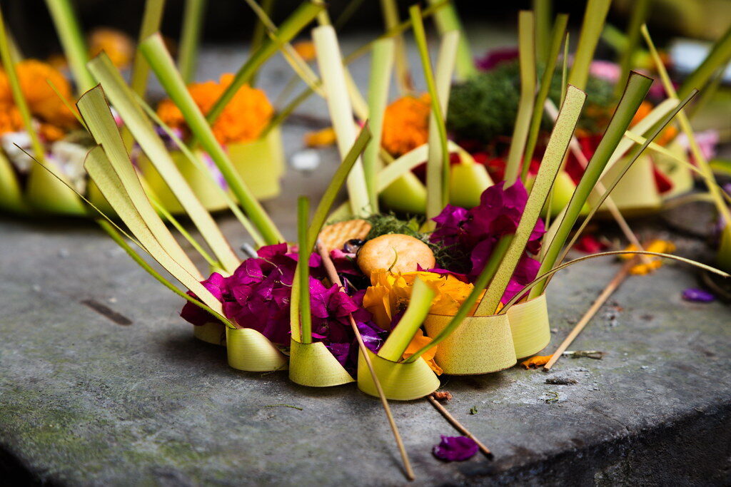 Petals arranged by colour and compass direction on the tray — each flower a small act of gratitude, not decoration.