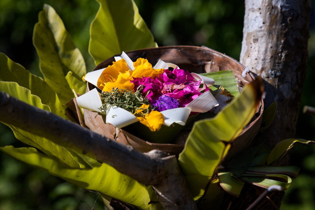 Canang sari — one day's offering: a woven palm-leaf tray of flowers, a pinch of rice and a stick of incense, set down and blessed, then left to the elements.