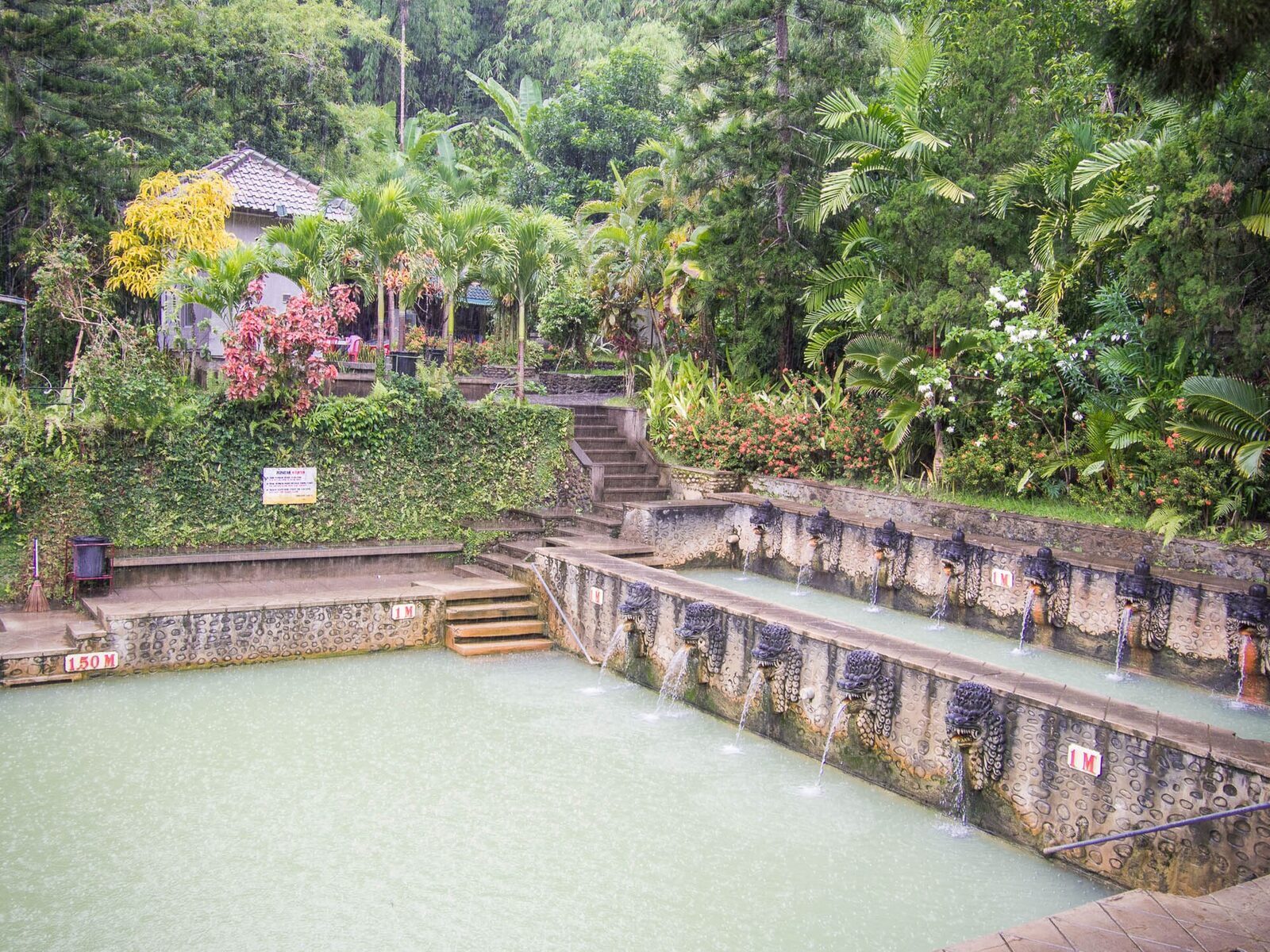 Air Panas Banjar — the tiered stone bathing tanks in the jungle hills above Lovina, fed by warm sulphur springs.