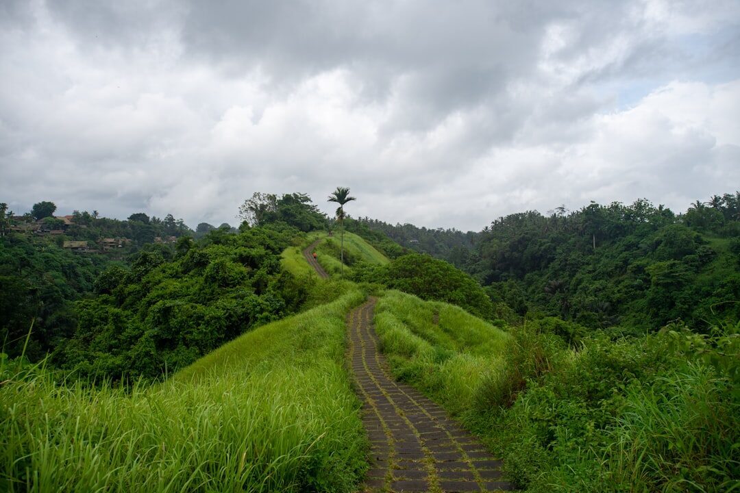 The grassy spine of the ridge, the trail running along the top between the two river valleys.
