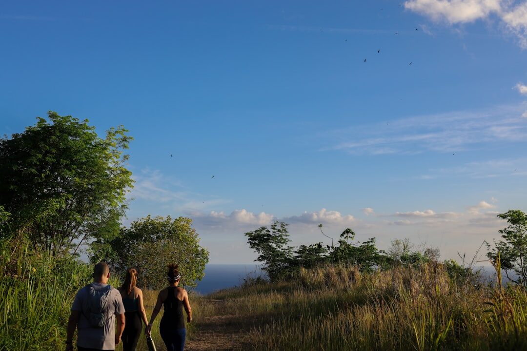 Walkers pausing on the open ridge, the hills around Ubud hazy beyond.