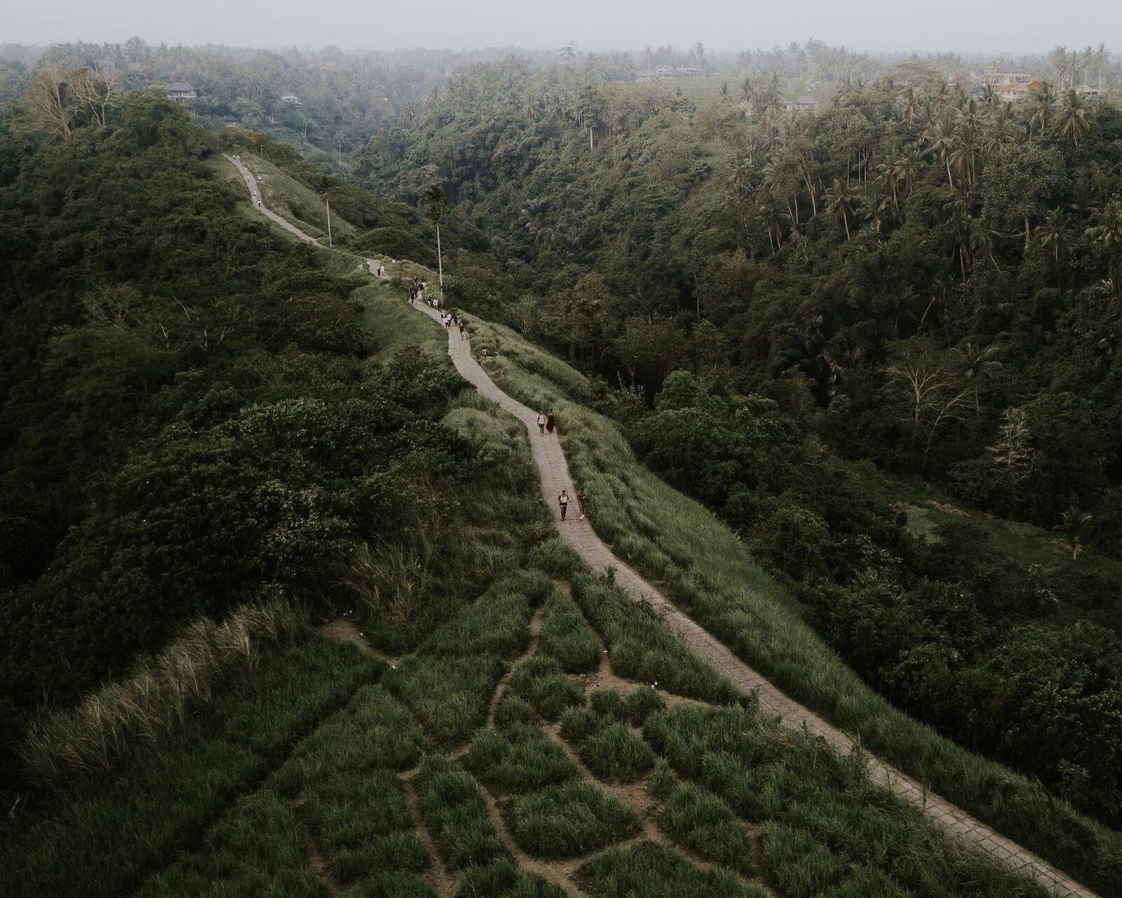 The winding ridge path seen from the air, forest falling away on both sides.