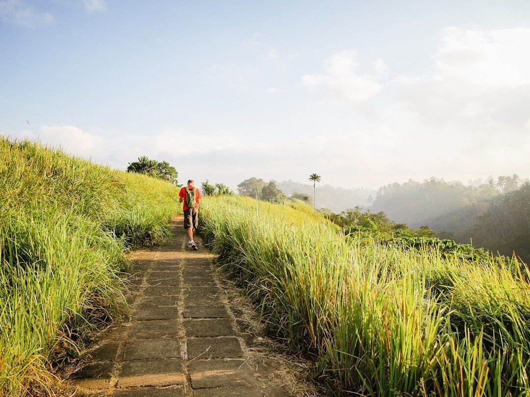 The packed-earth path climbing through the ridge's tall grass — almost no shade, which is exactly why you go early.