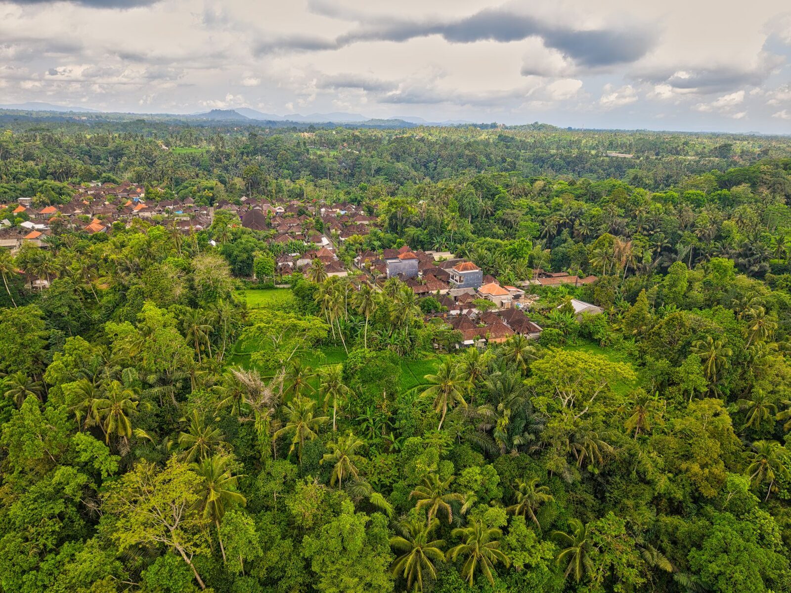 The forested valley and village the ridge runs above, seen from the air.