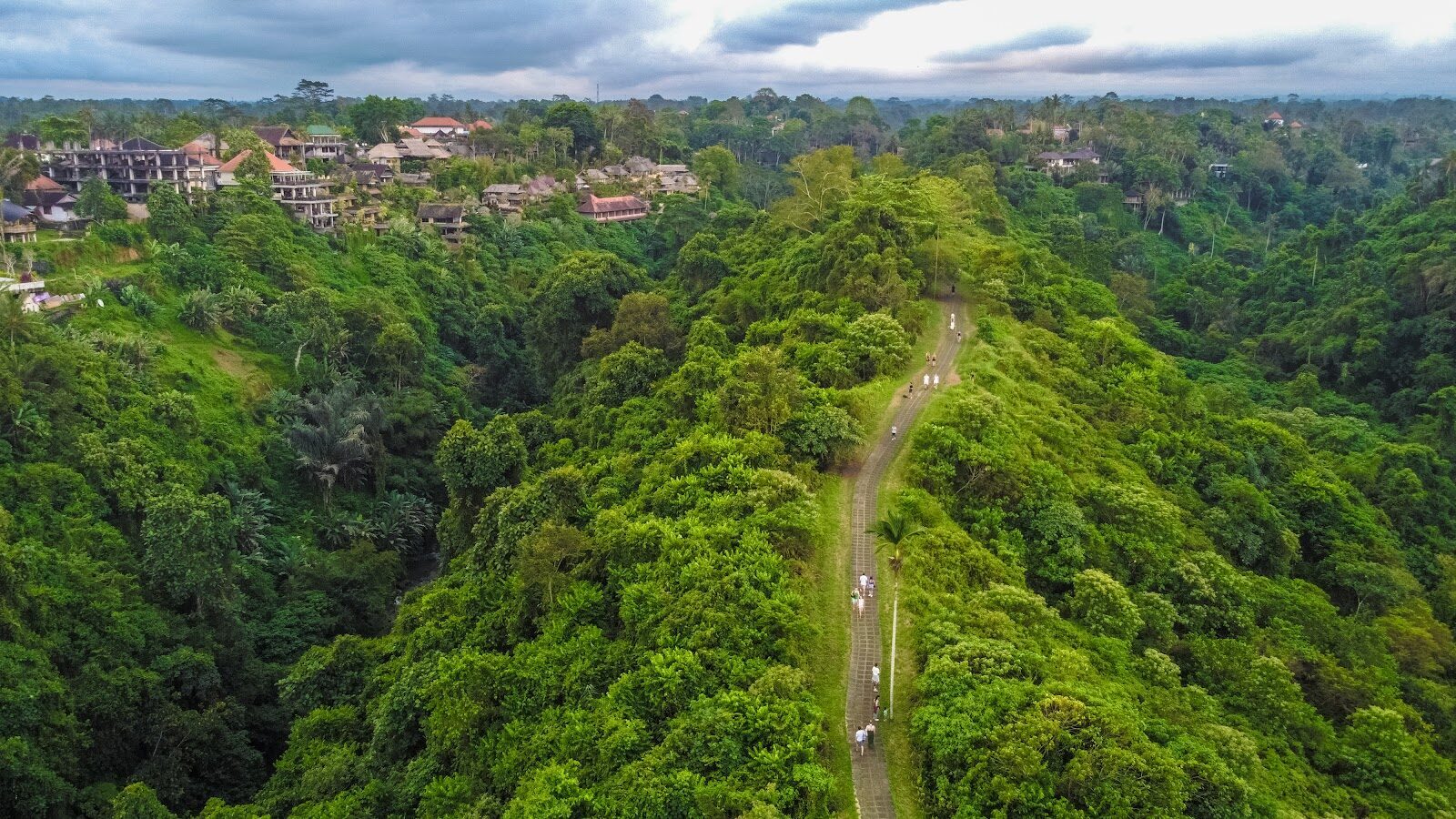 The green ridge from above, the walkway tracing its spine.