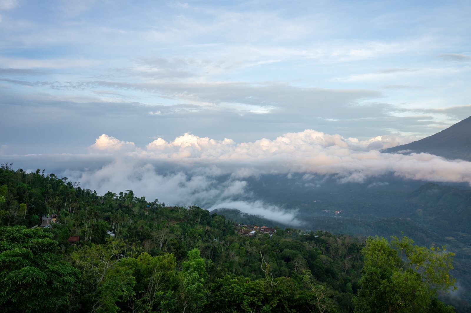The cloud sitting below the highland ridges — the cool, damp upcountry air that defines the day.