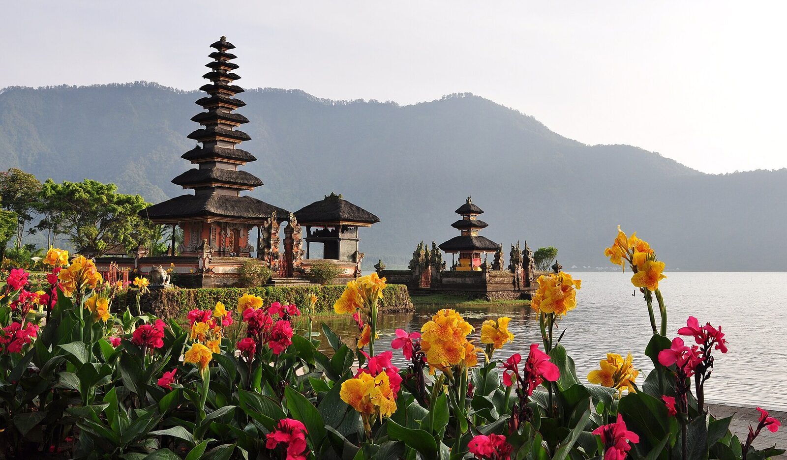 Canna flowers in the foreground gardens, the meru rising beyond.