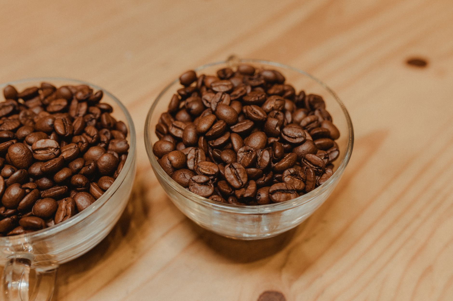 Roasted coffee beans in a glass cup
