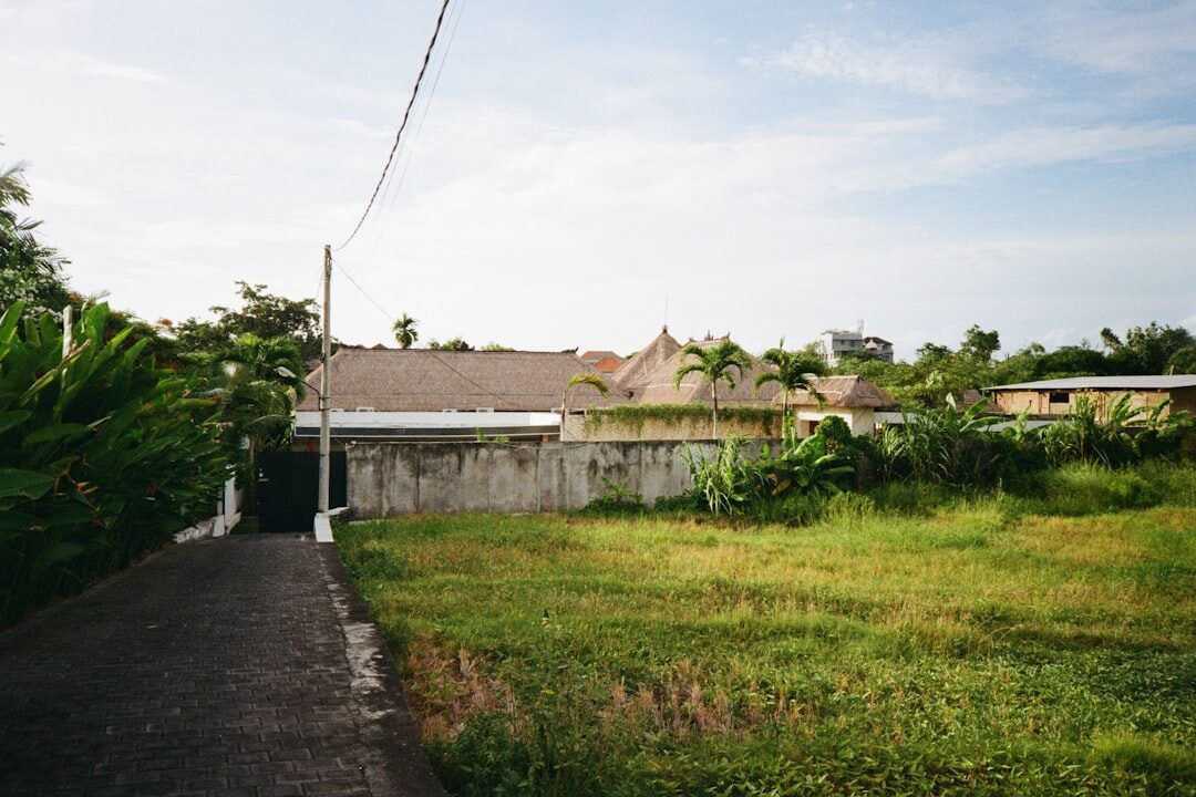 A quiet back-lane past the rice fields and villas — the calm is only a few streets off the main road.