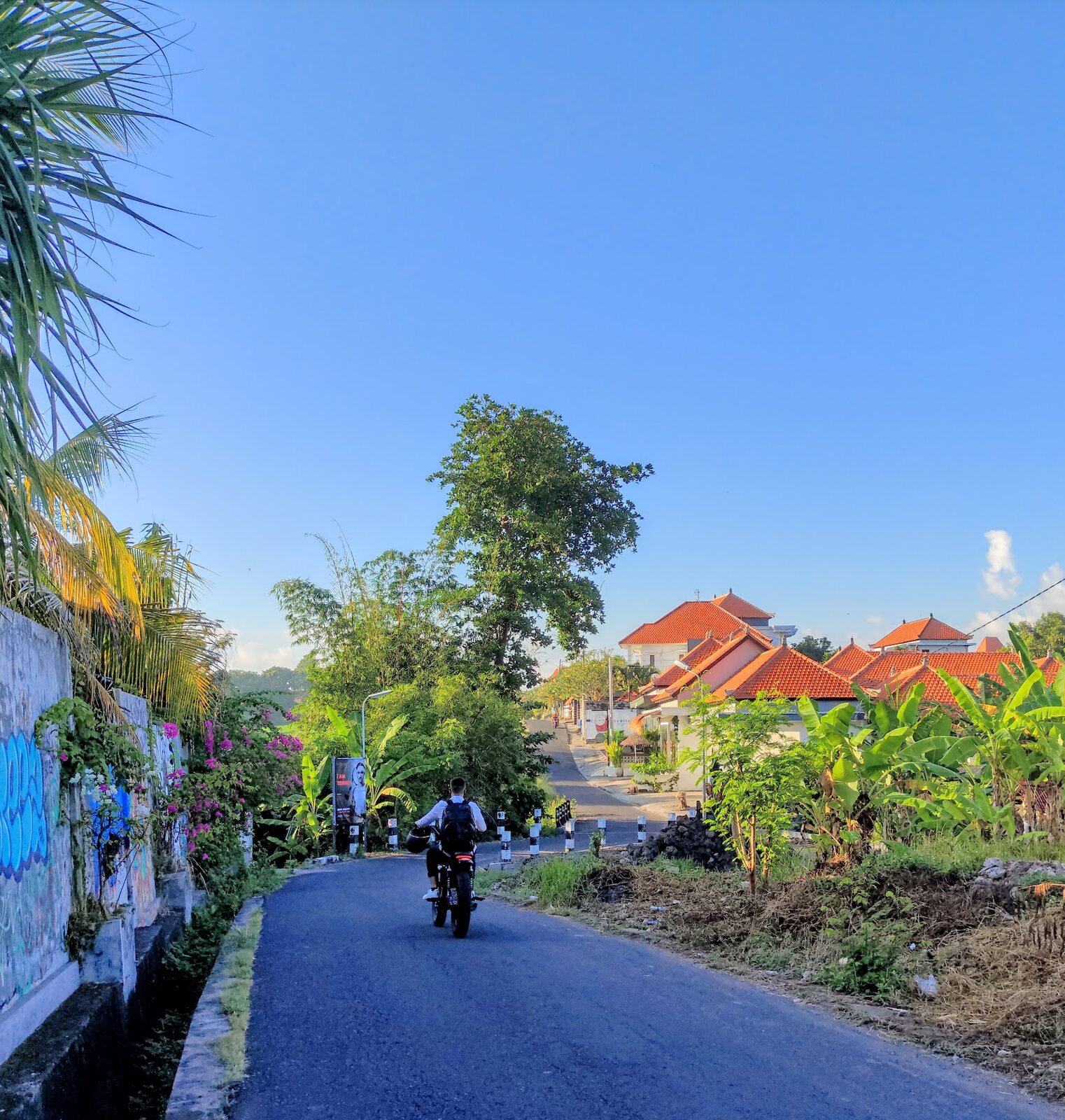 A scooter on a leafy villa lane — the Canggu that's one turn away from the traffic.