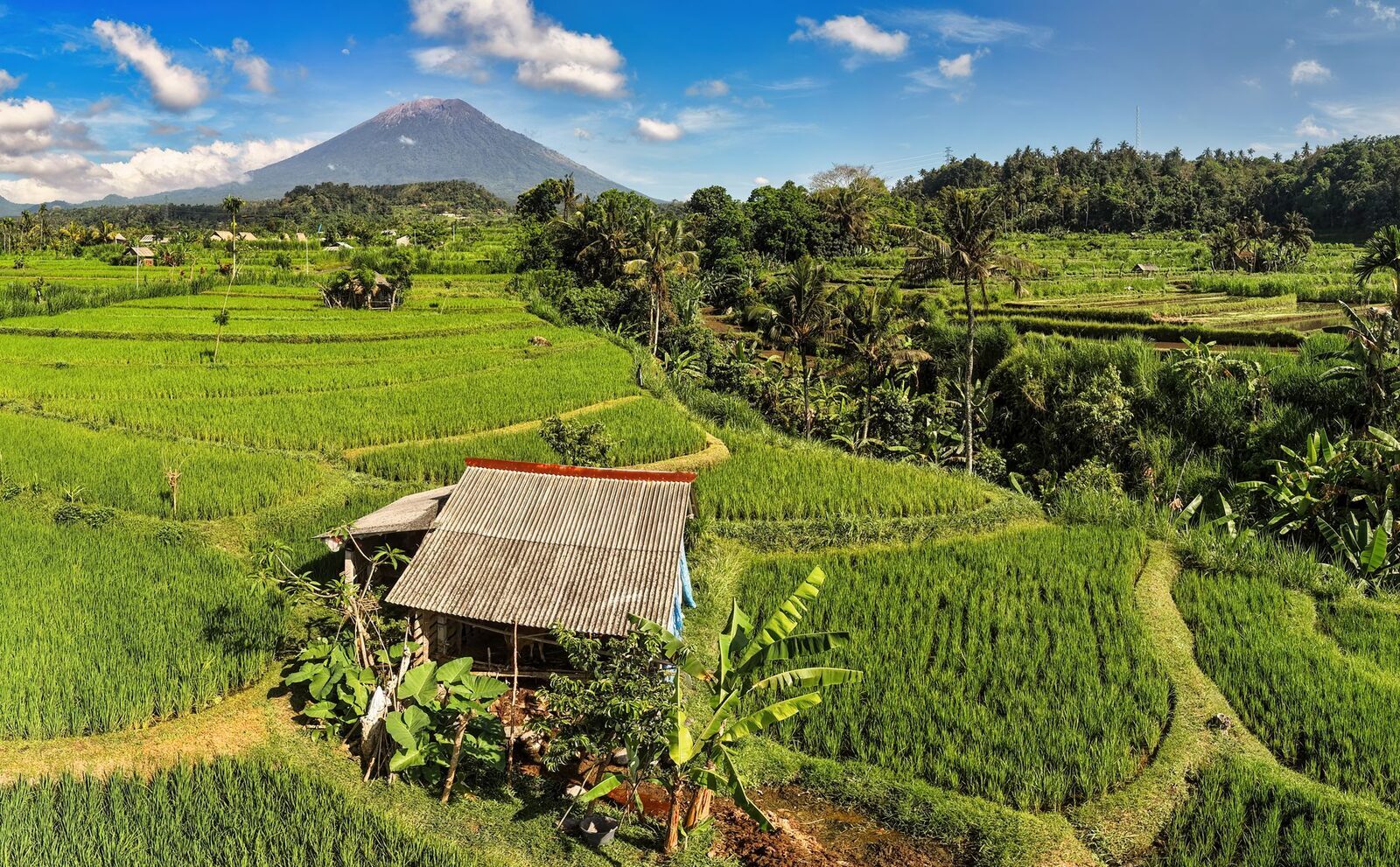 A field hut in the terraces, Agung faint on the skyline behind.