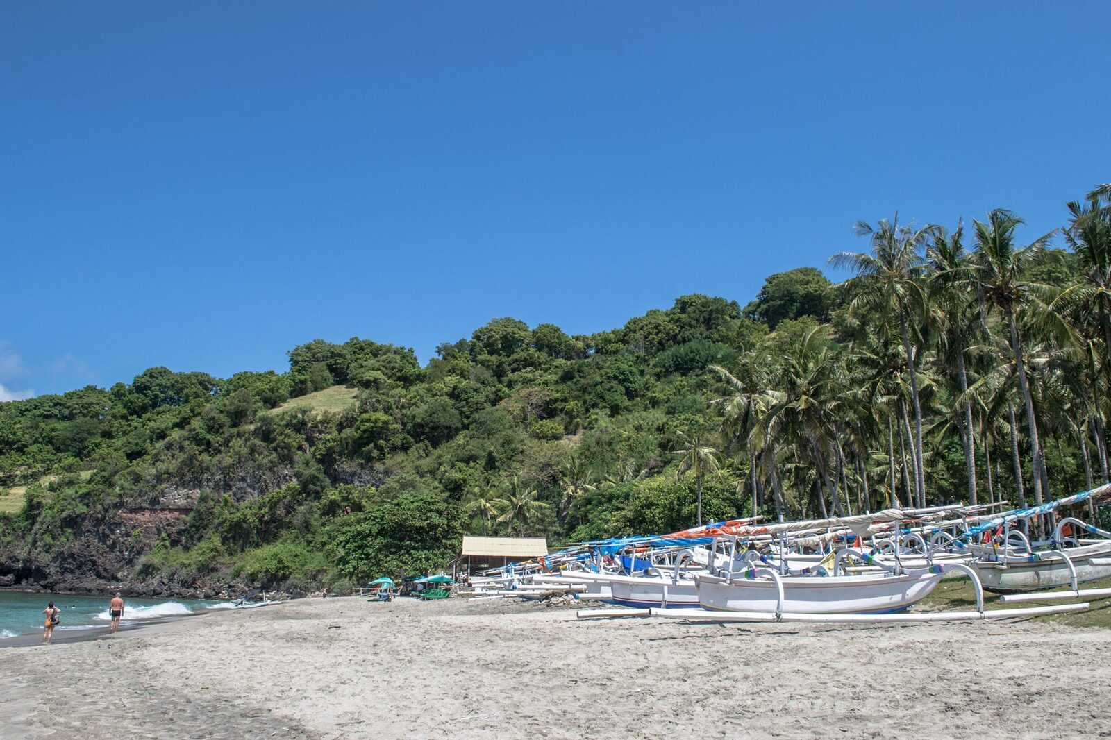 Fishing boats lined along the beach under the palms.