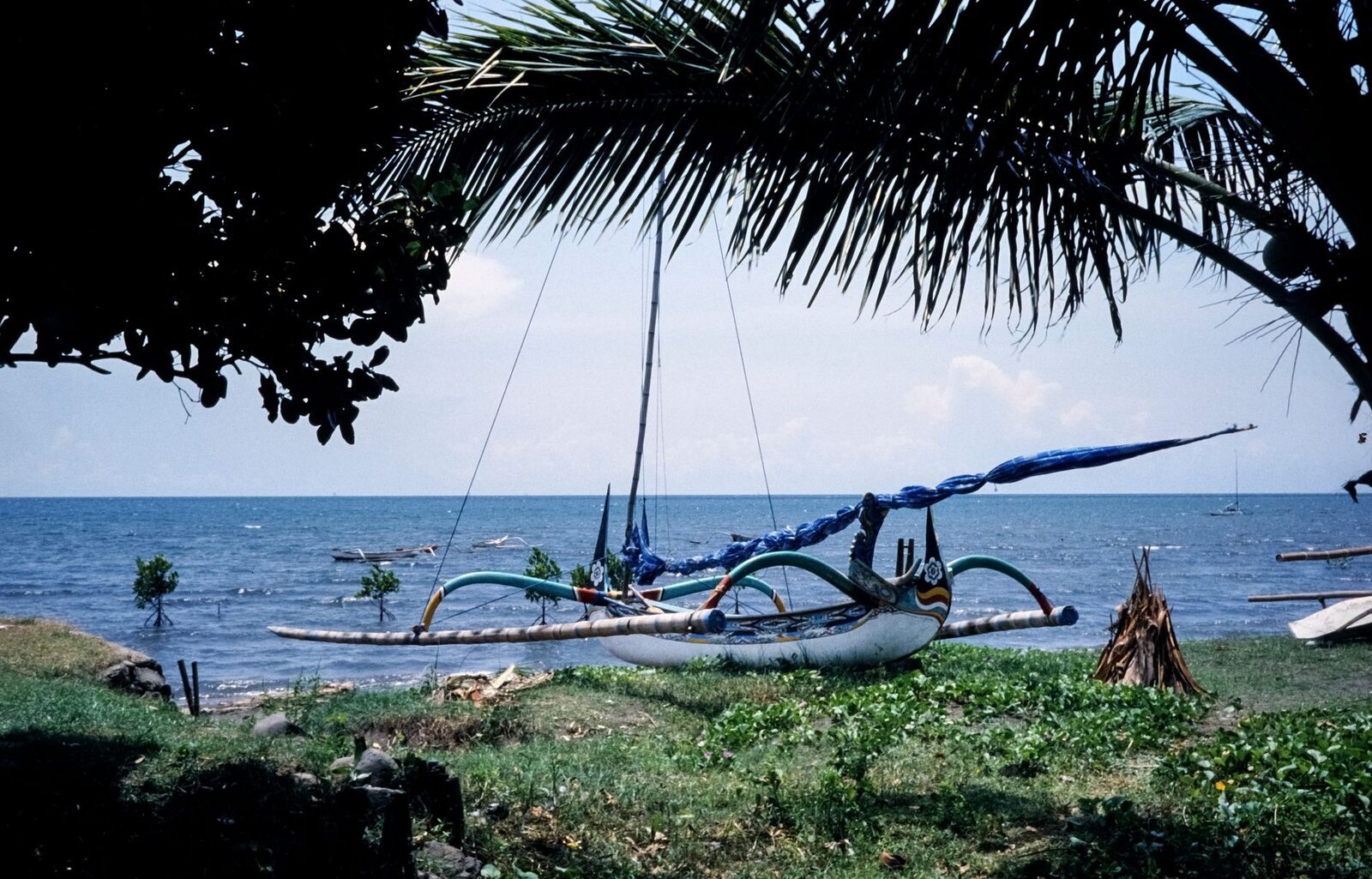 A jukung outrigger pulled up by the shore.