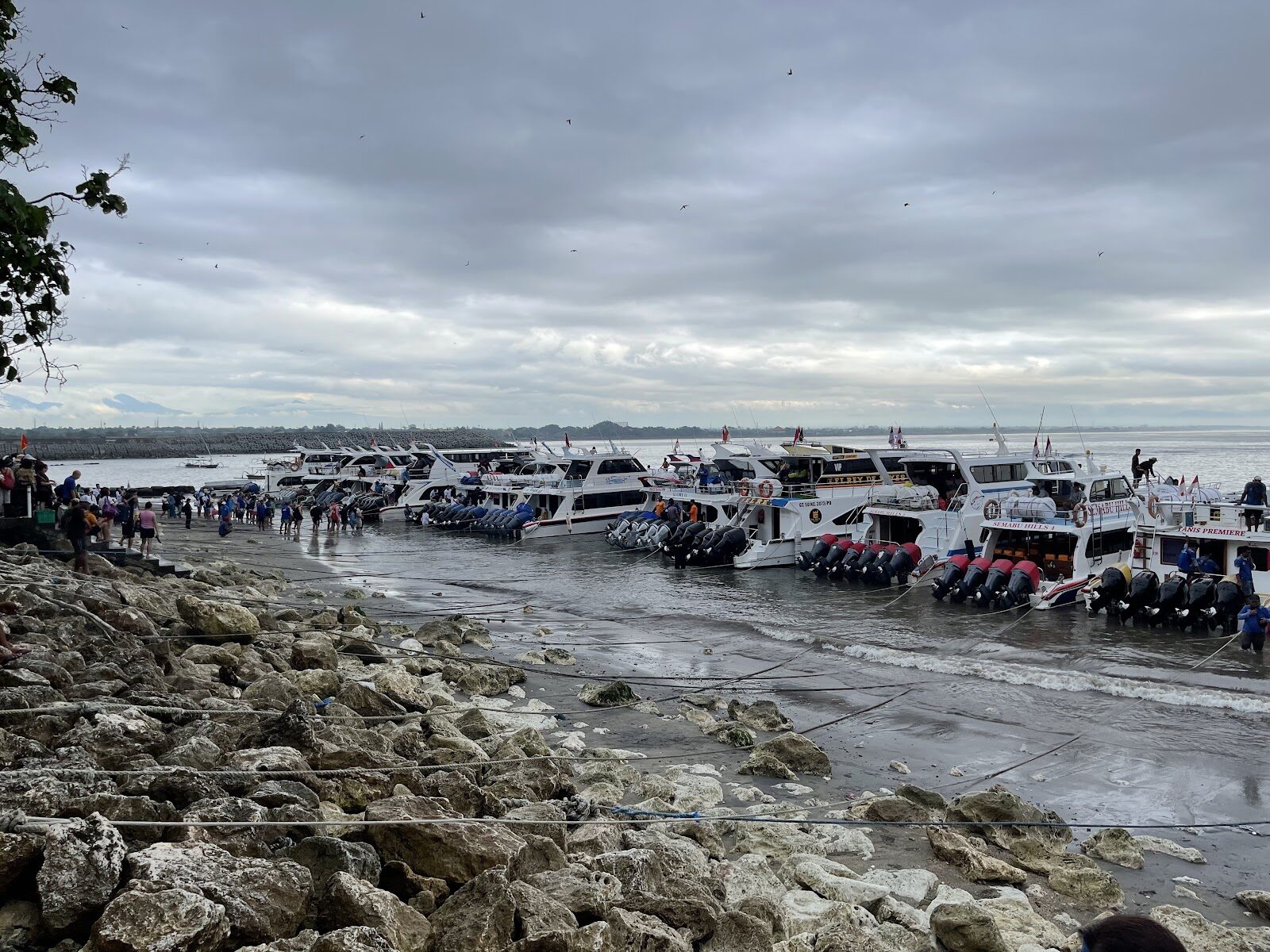A fleet of fast boats drawn up on the shore, launching straight off the sand.