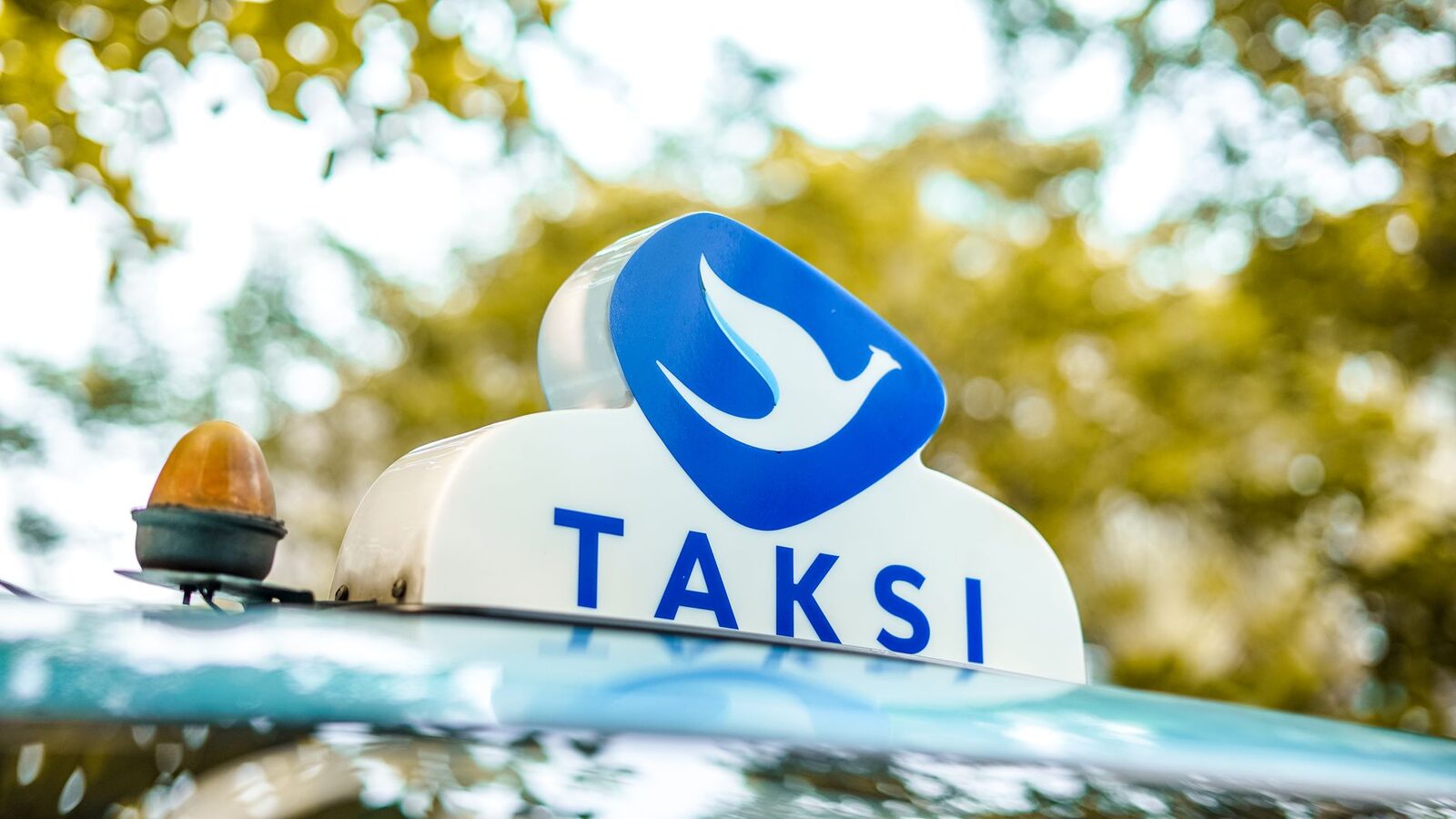 The Blue Bird roof sign up close — the bird-and-'TAKSI' logo to check for before you get in, not just the colour.