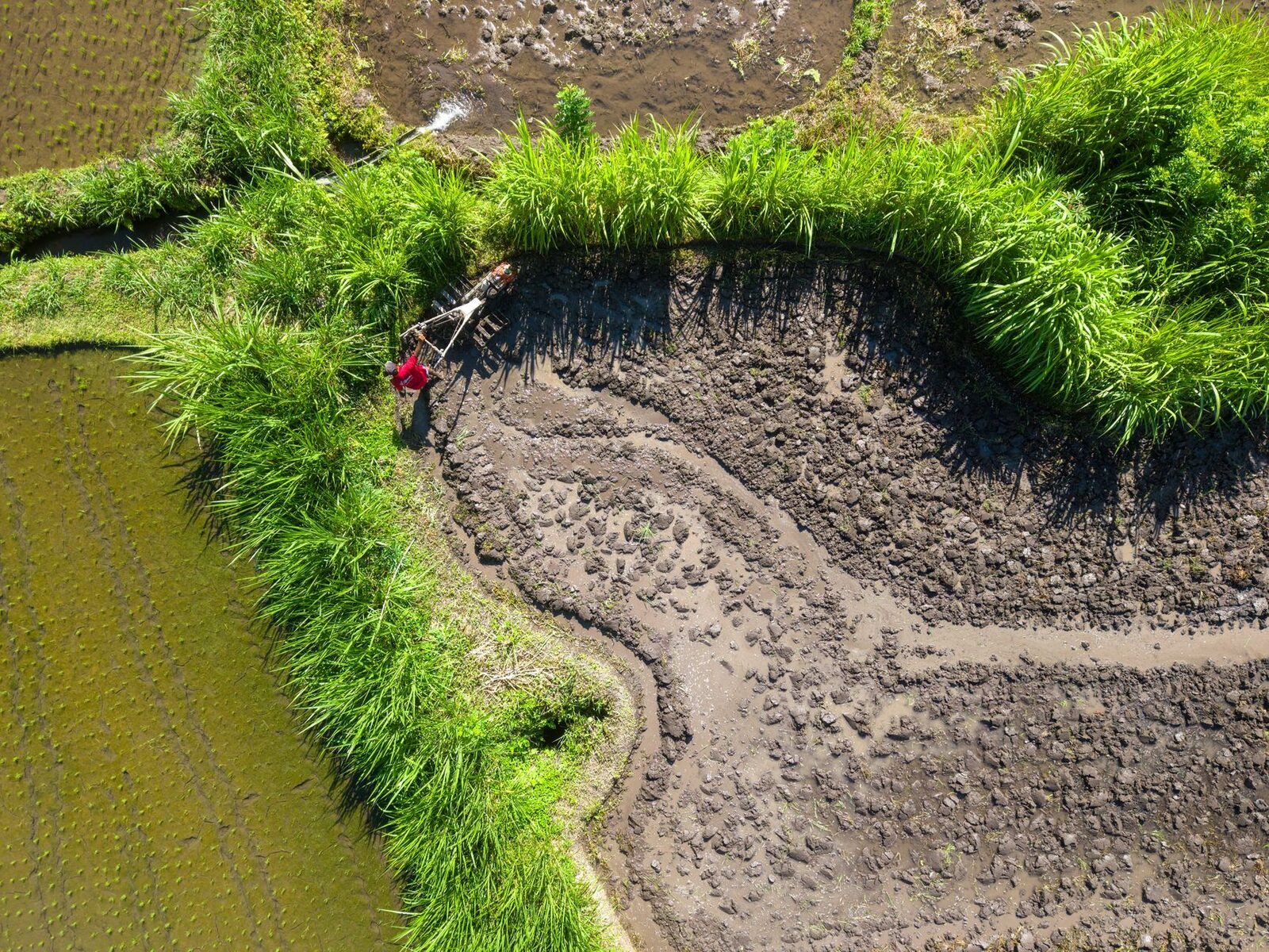 A farmer at work beside a water channel where the subak feeds one terrace from the next — the living irrigation system that earned the UNESCO listing.