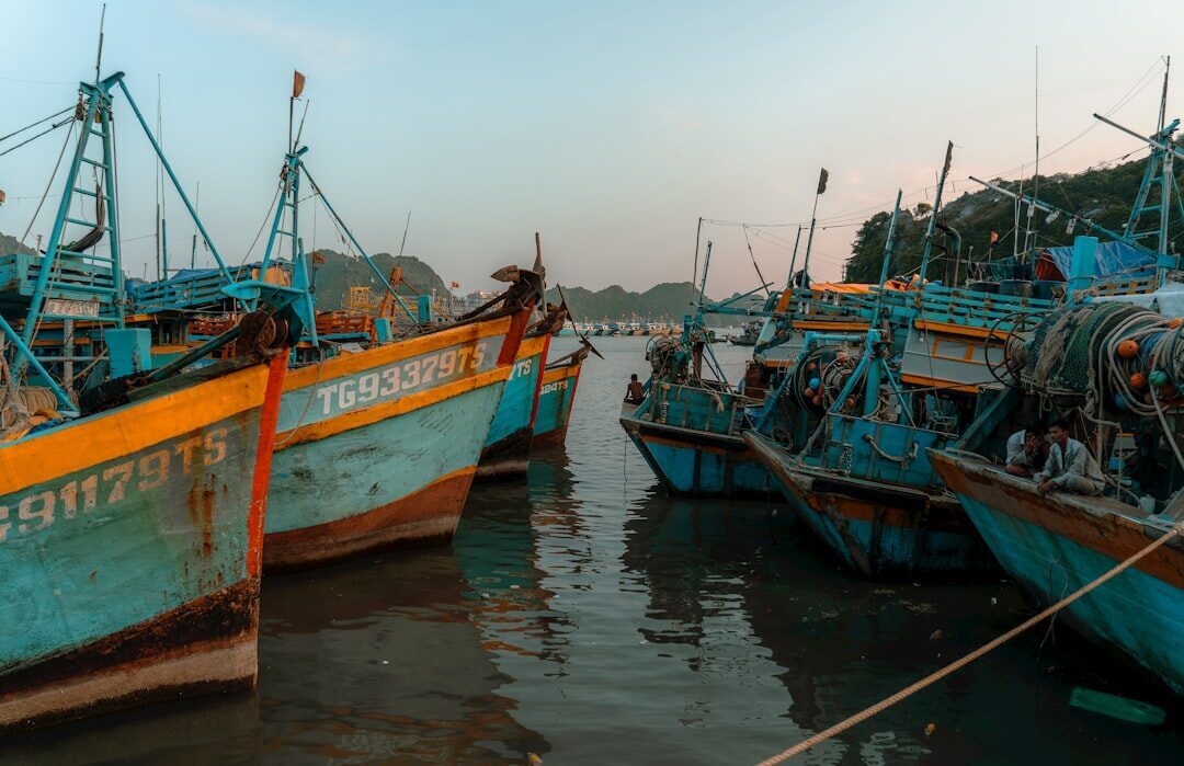 Fishing boats moored in the harbour at first light.
