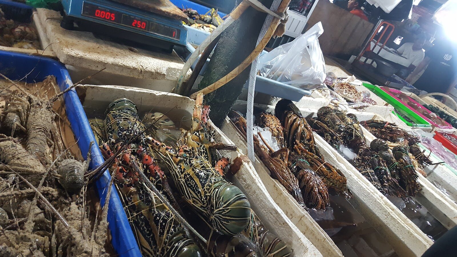 Crates of lobster and crab on the market slab.