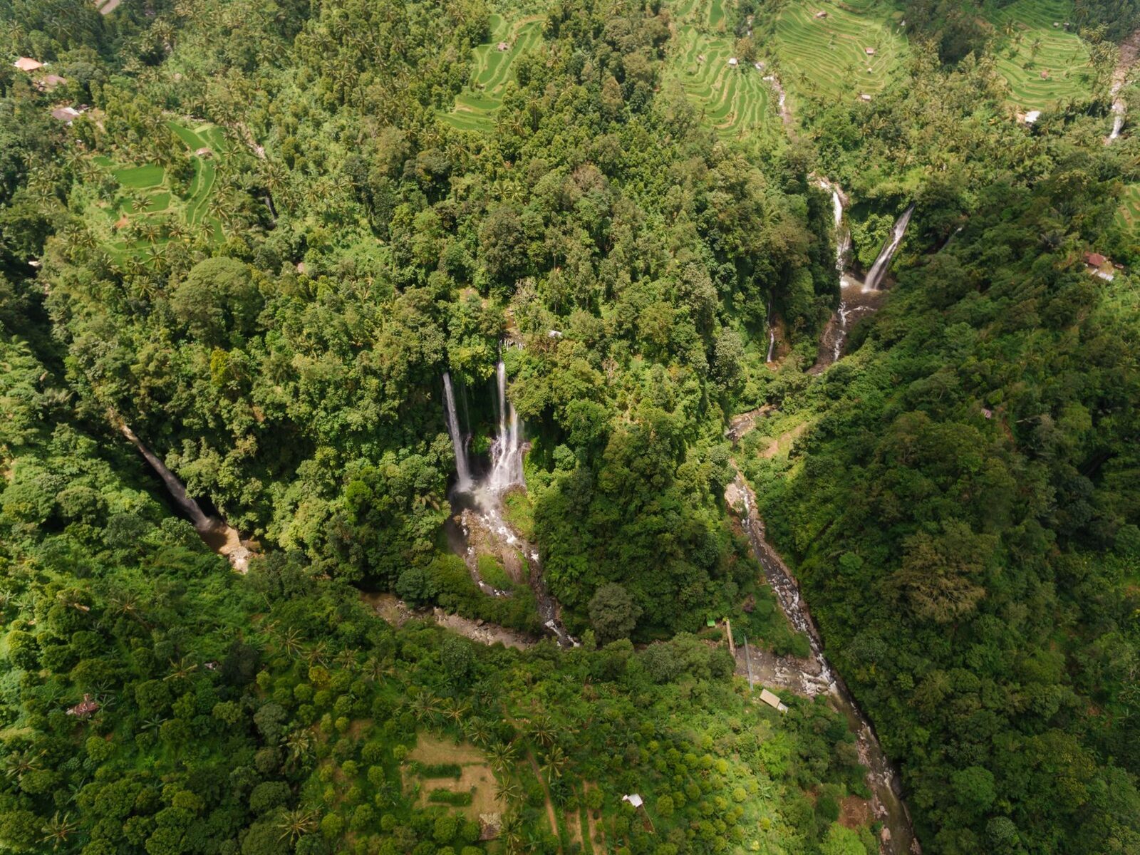 Another north-Bali jungle fall, water threading dense green. (Generic north-Bali waterfall.)