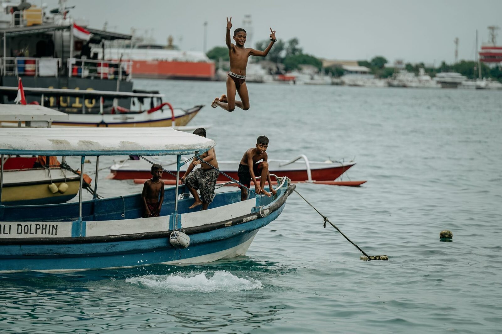 'Bali Dolphin' tour boats offshore — on a busy morning dozens of these converge on a single pod.