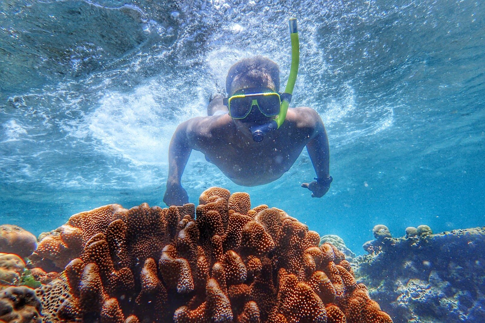 A snorkeller over Menjangan's coral — clearer water than Lovina's modest house reef.