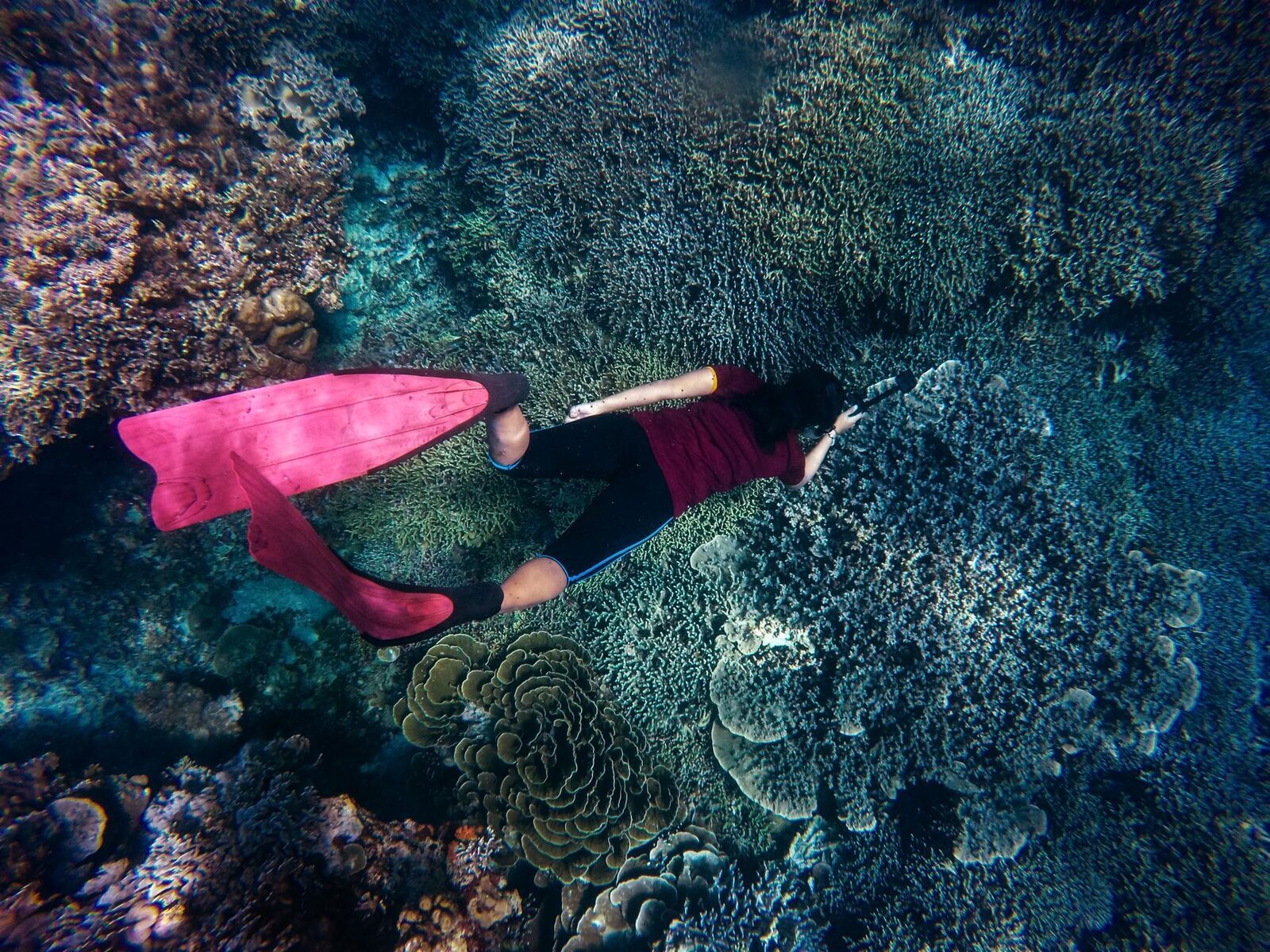 A freediver over coral — the kind of clear water you head west or east to find, not off Lovina's house reef. (Generic reef scene.)