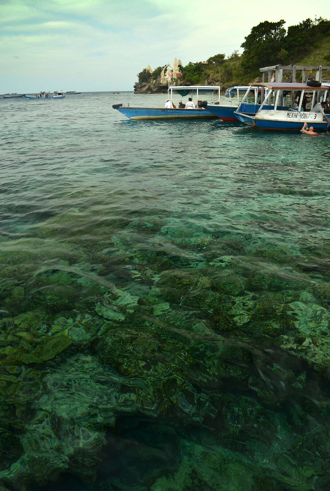 Clear, shallow water over the reef flat at the island's edge.
