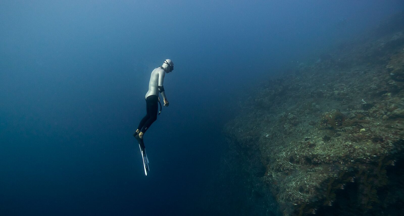 A diver drifting down the drop-off, the reef falling away into deep blue.