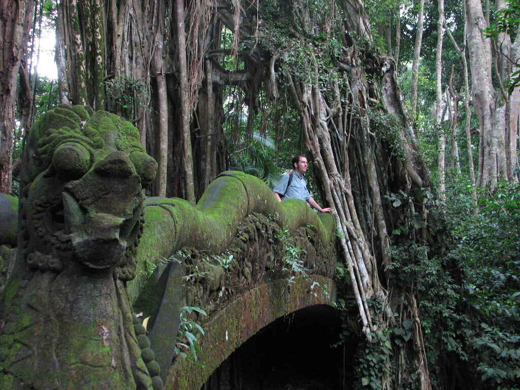 A moss-draped dragon bridge deep in the forest, a visitor crossing above the ravine.