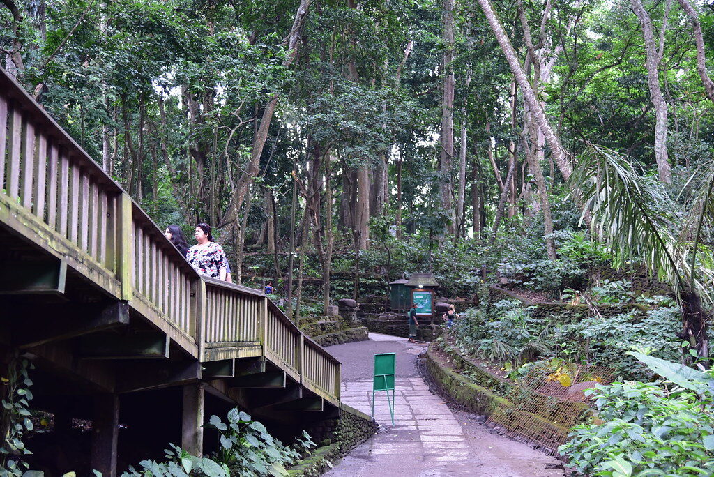 The timber ramp and stairs leading down toward the ravine temples.