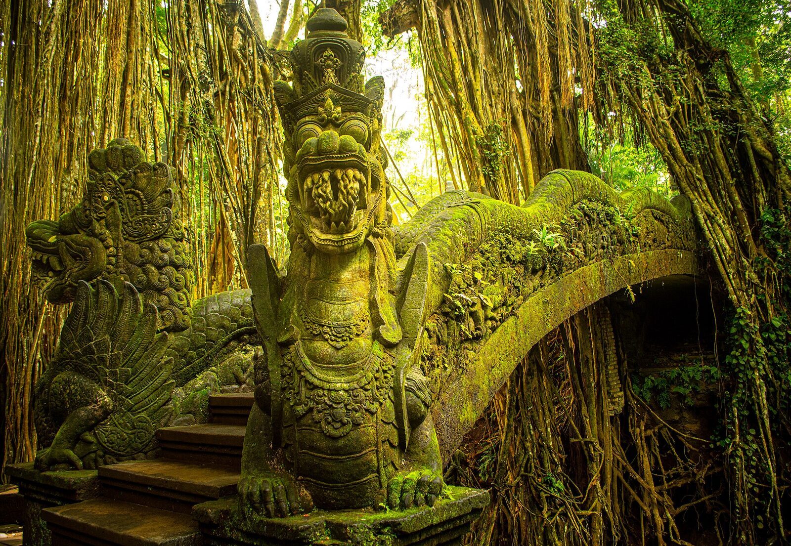 The Dragon Bridge — a carved serpent balustrade, mossed and lit gold through the canopy.