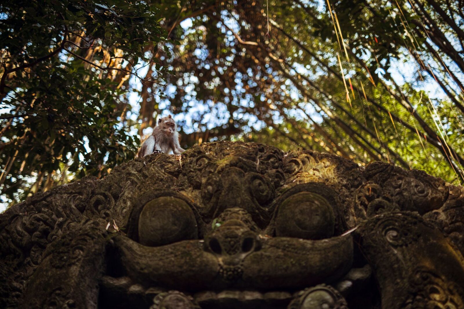 A macaque perched on a moss-covered carving — the troops treat the shrines as their own.