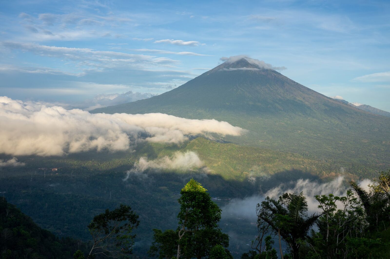 A grey cone wearing its usual collar of cloud, forest running up to the tree line.