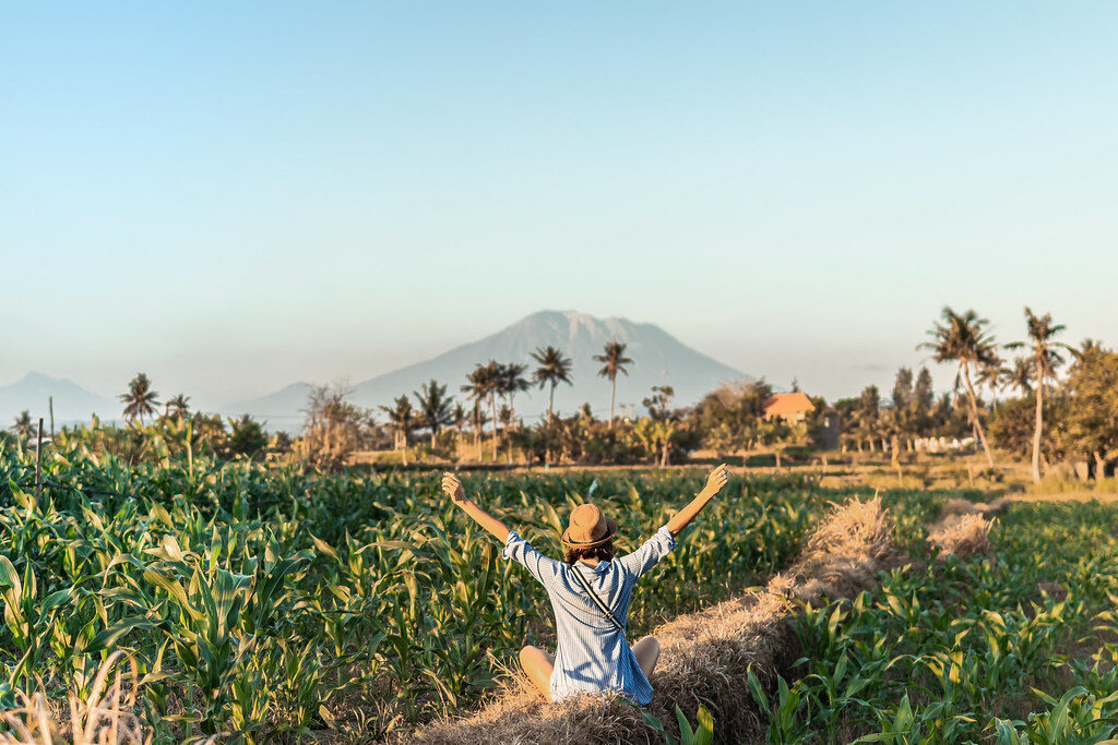 A traveller in the fields below Agung, the peak dominating the eastern skyline.