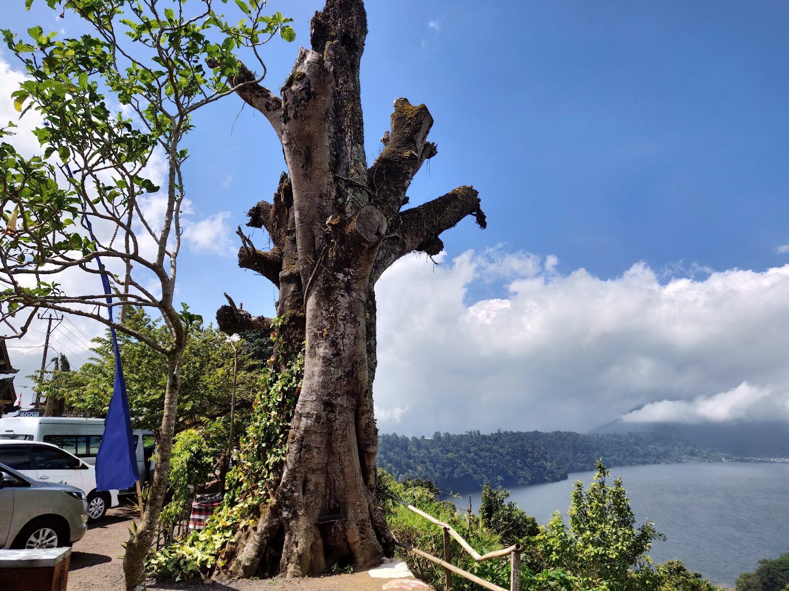 A ridge viewpoint over the water, forest closing in on every side.