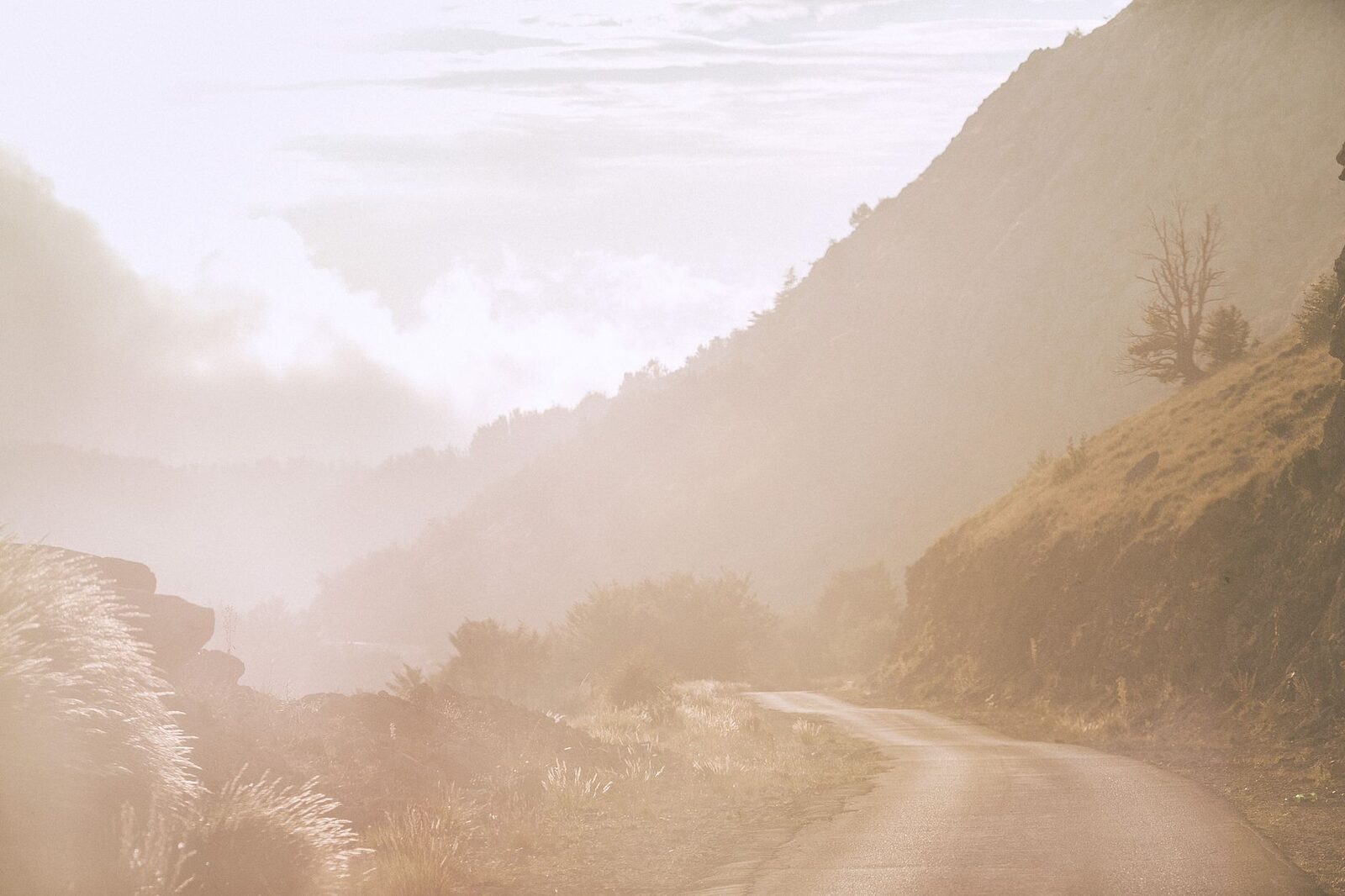 A road winding up through the misty highland ridges — this is the drive, switchback after switchback.